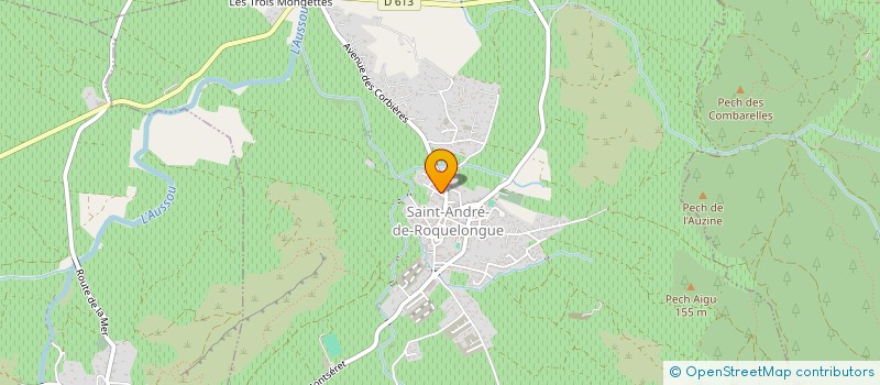 localisation de l'entreprise MADAME JANNEEN PICORNELL  SAINT-ANDRE-DE-ROQUELONGUE