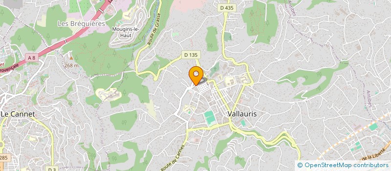 localisation de l'entreprise MADAME JAQUELINE FASSI  VALLAURIS