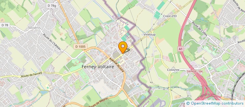 localisation de l'entreprise MADAME JASMINE WIKSTROM à FERNEY-VOLTAIRE