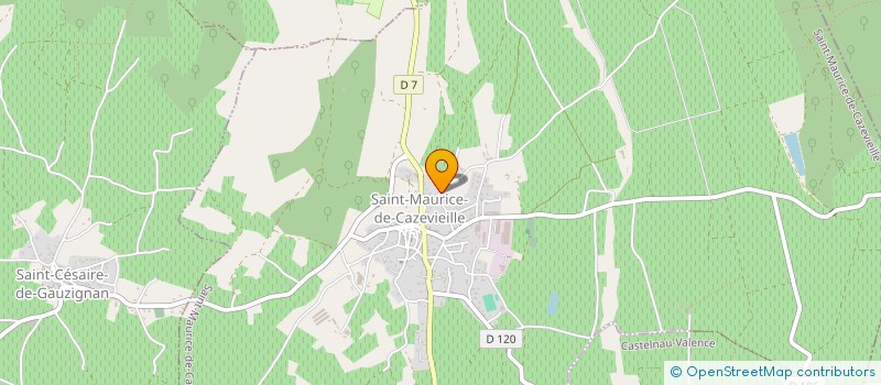localisation de l'entreprise MADAME JEAN IRENE MORRIS à SAINT-MAURICE-DE-CAZEVIEILLE