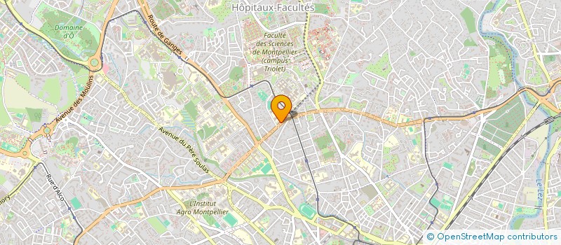 localisation de l'entreprise MADAME JEANETH AREVALO à MONTPELLIER