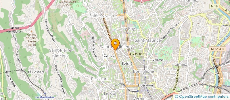 localisation de l'entreprise MADAME JEANETTA NAGAEVA à NICE