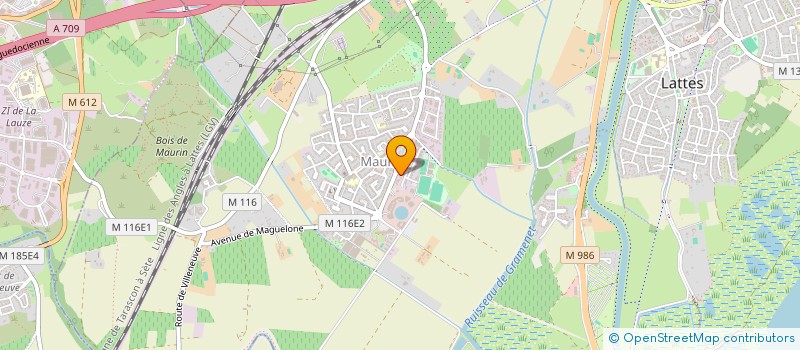 localisation de l'entreprise MADAME JEANINE DENGLEANT à LATTES