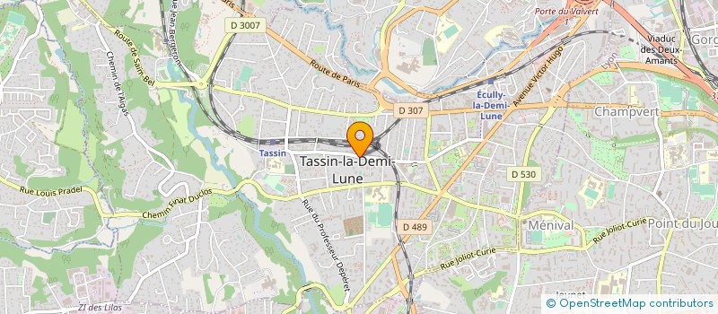 localisation de l'entreprise MADAME JEANINE RUTIGLIANO  TASSIN-LA-DEMI-LUNE