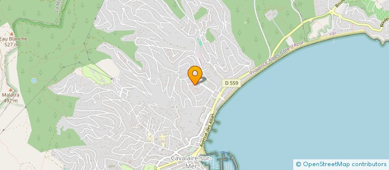 localisation de l'entreprise MADAME JEANINE TROSSET à CAVALAIRE-SUR-MER