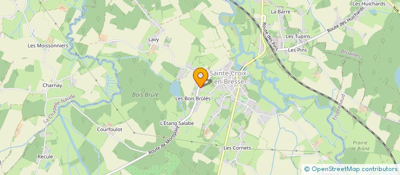 localisation de l'entreprise MADAME JEANNE ALVES DA ROCHA  SAINTE-CROIX-EN-BRESSE