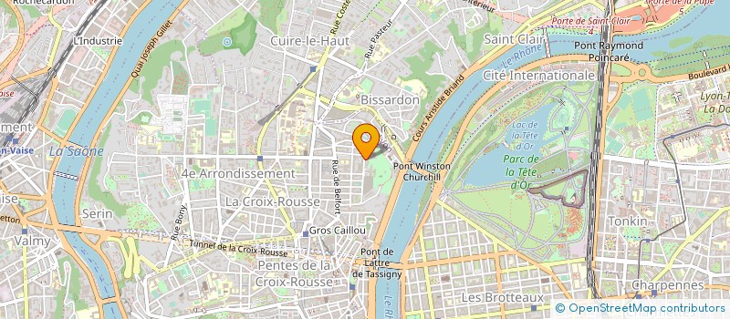 localisation de l'entreprise MADAME JEANNE ARPIN  LYON