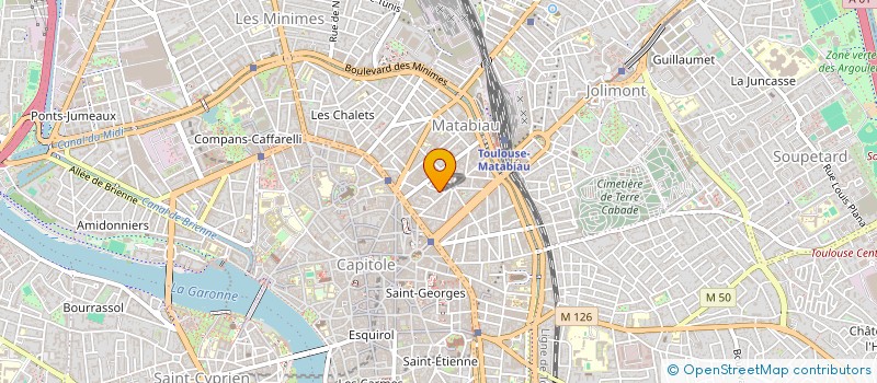 localisation de l'entreprise MADAME JEANNE BASTIANELLI  TOULOUSE