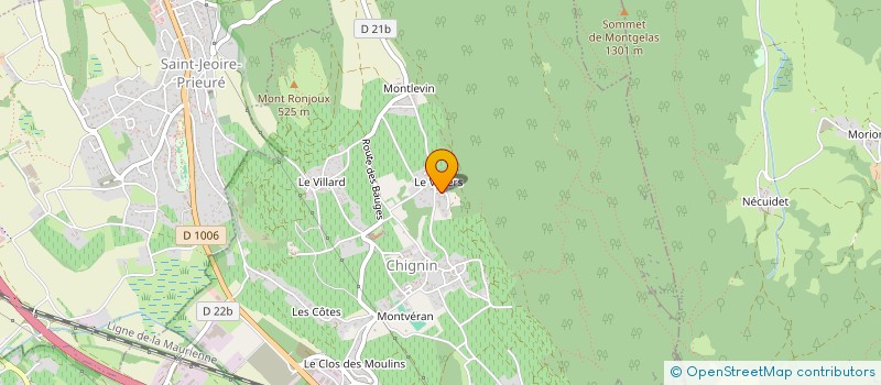 localisation de l'entreprise MADAME JEANNE BERLIOZ  CHIGNIN