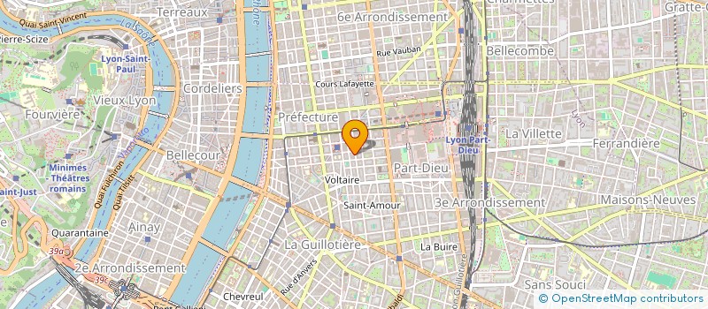 localisation de l'entreprise MADAME JEANNE BOUVIER  LYON