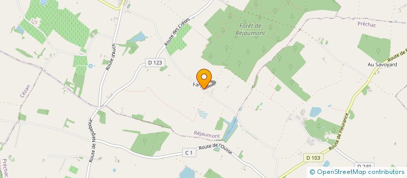 localisation de l'entreprise MADAME JEANNE CAROLINE OYONO  MONTESTRUC-SUR-GERS