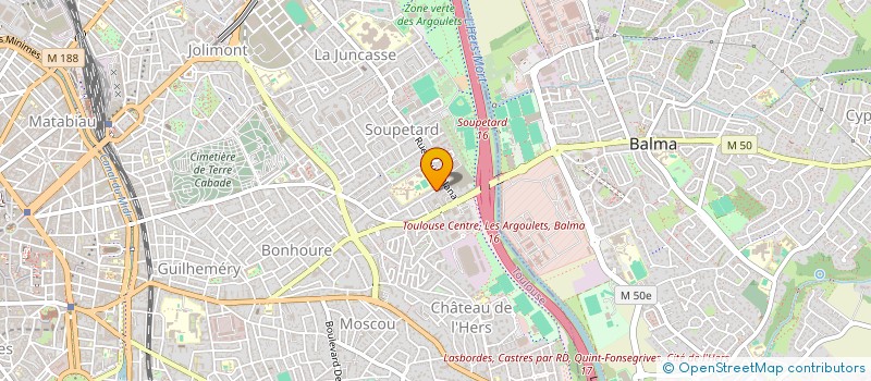 localisation de l'entreprise MADAME JEANNE DAVID  TOULOUSE