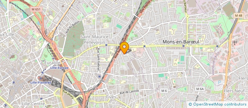 localisation de l'entreprise MADAME JEANNE DWORKIN  LILLE