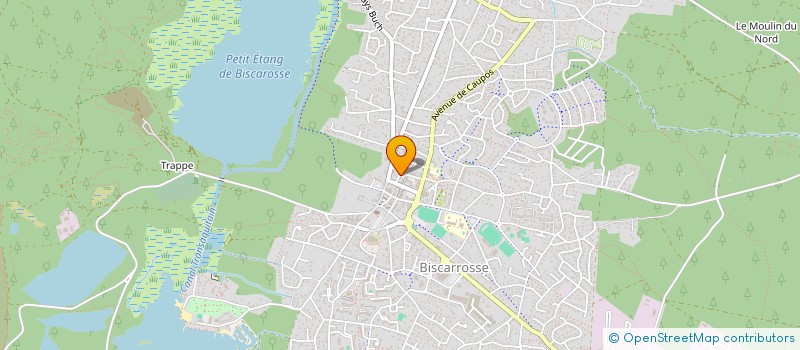 localisation de l'entreprise MADAME JEANNE FABRE  BISCARROSSE