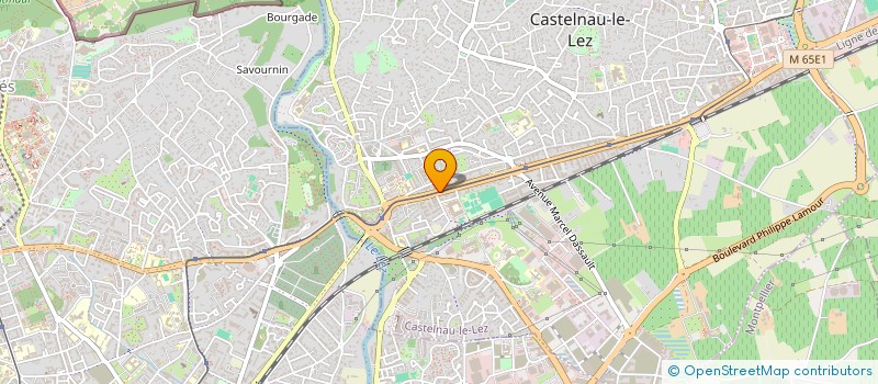 localisation de l'entreprise MADAME JEANNE FEYDEL à CASTELNAU-LE-LEZ