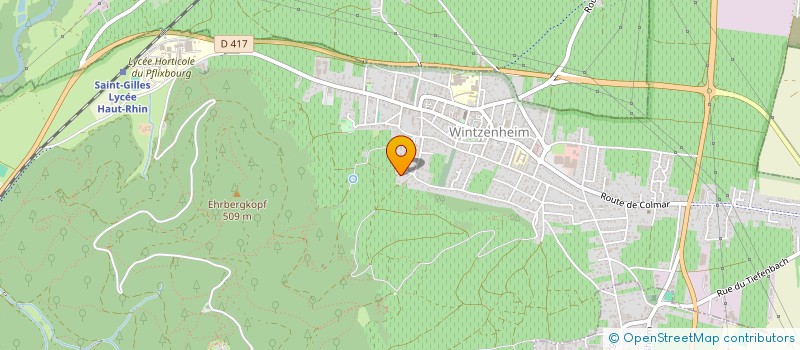 localisation de l'entreprise MADAME JEANNE GUEMELEU  MULHOUSE