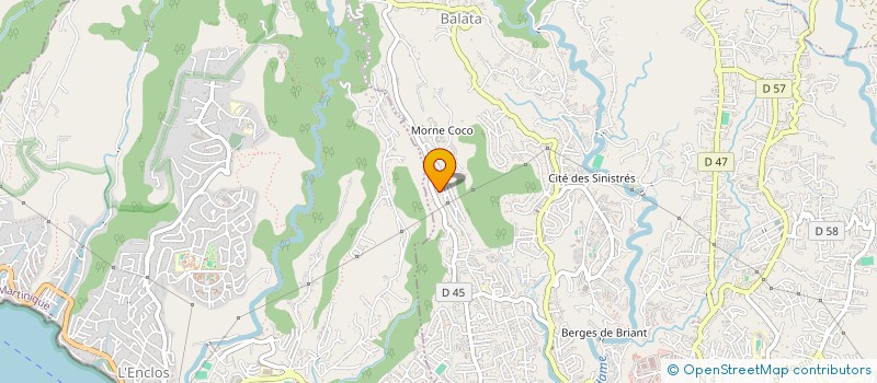 localisation de l'entreprise MADAME JEANNE HELENE SYLVESTRE  FORT-DE-FRANCE