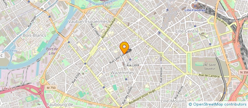 localisation de l'entreprise MADAME JEANNE LELAHEL GOUYOMGBIA KONGBA ZEZE à LILLE
