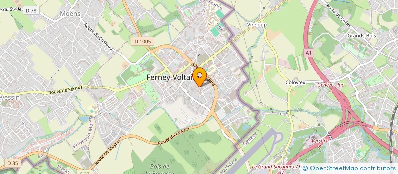 localisation de l'entreprise MADAME JEANNE LENNKH-SAAD à FERNEY-VOLTAIRE