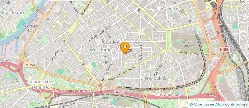 localisation de l'entreprise MADAME JEANNE QUINTIN  LILLE