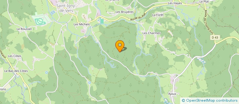 localisation de l'entreprise MADAME JEANNE RICHARD à SAINT-IGNY-DE-VERS