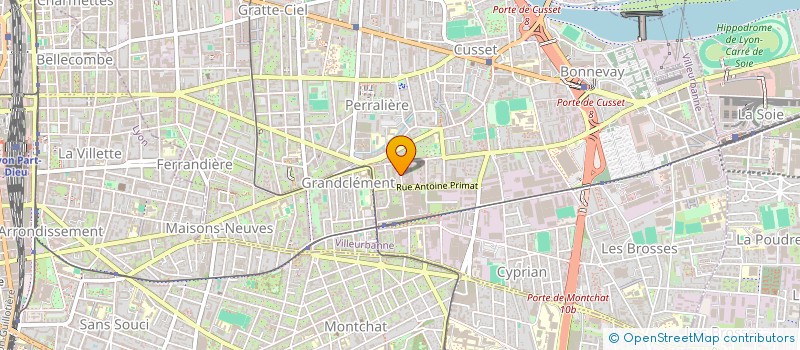 localisation de l'entreprise MADAME JEANNE SARTON DU JONCHAY  VILLEURBANNE