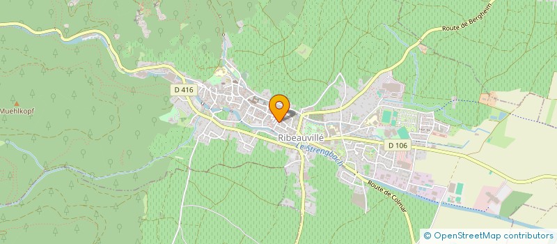 localisation de l'entreprise MADAME JEANNE SCHWEIN  RIBEAUVILLE