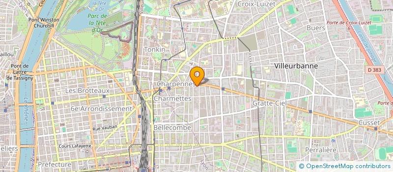 localisation de l'entreprise MADAME JEANNE VOISIN  VILLEURBANNE