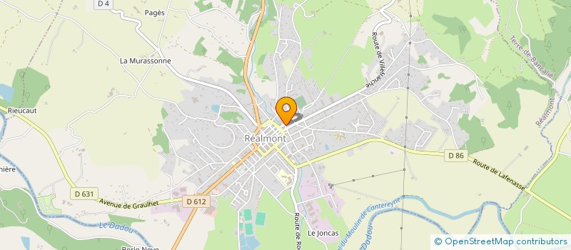 localisation de l'entreprise MADAME JEANNETTE ENJALBERT  REALMONT