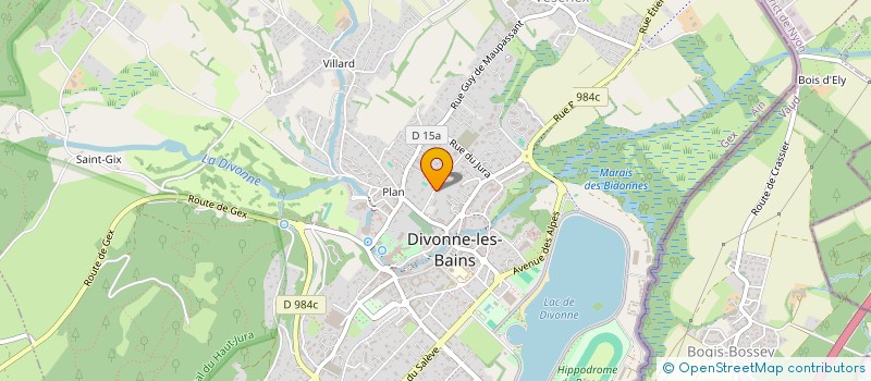 localisation de l'entreprise MADAME JEANNIE MARTIN à DIVONNE-LES-BAINS