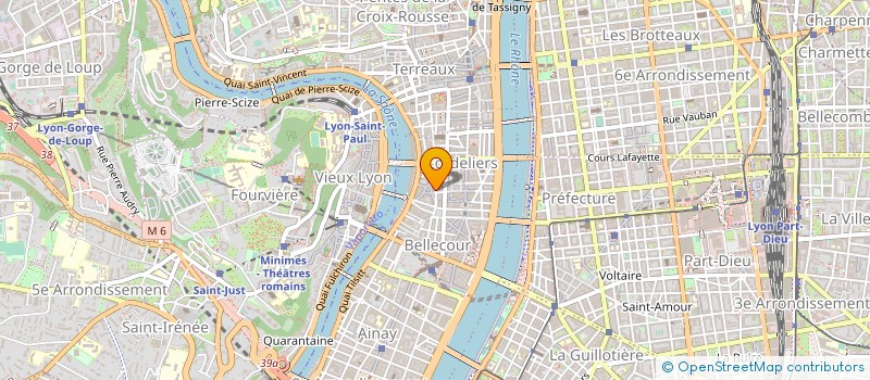 localisation de l'entreprise MADAME JEANNINE DEPALLIERE  LYON