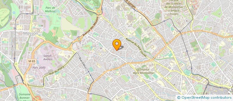 localisation de l'entreprise MADAME JEANNINE THOMAS à MONTPELLIER