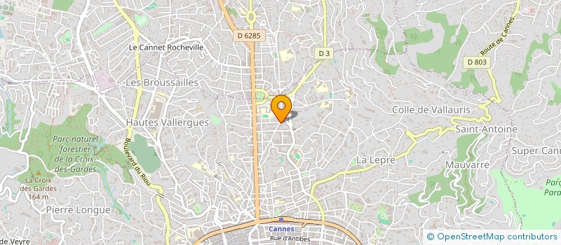 localisation de l'entreprise MADAME JELENA MANTIC à CANNES