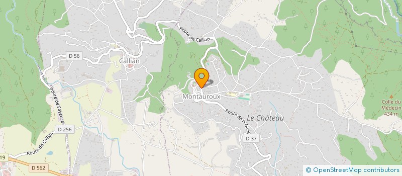 localisation de l'entreprise MADAME JENA HAOUES à MONTAUROUX
