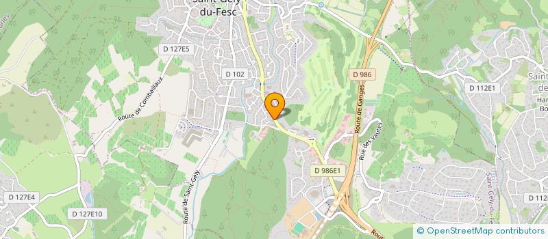 localisation de l'entreprise MADAME JENNIFER CLAUDINE MAS  SAINT-GELY-DU-FESC