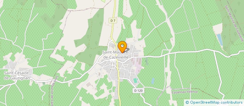 localisation de l'entreprise MADAME JENNIFER NORTES  SAINT-MAURICE-DE-CAZEVIEILLE