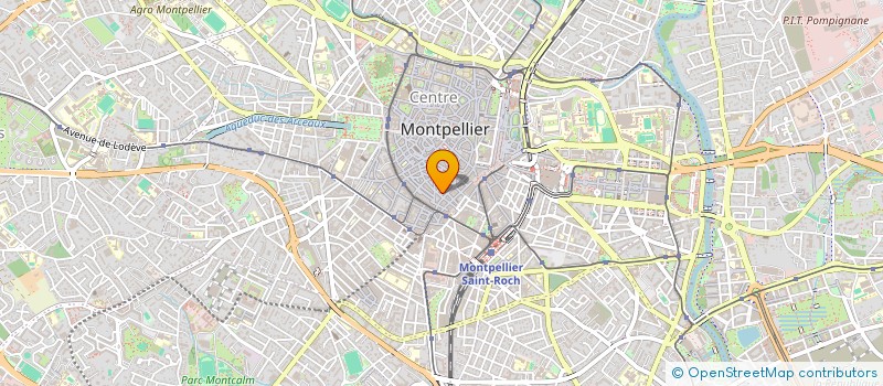 localisation de l'entreprise MADAME JENNIFER VAN WYCK à MONTPELLIER