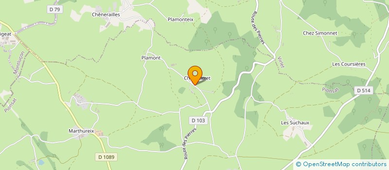 localisation de l'entreprise MADAME JENNIFER VERHOEK  PIONSAT