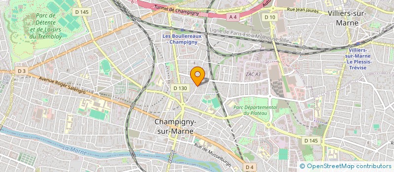 localisation de l'entreprise MADAME JENNY ELIZABETH MAYO SANCHEZ JENNY  CHAMPIGNY-SUR-MARNE