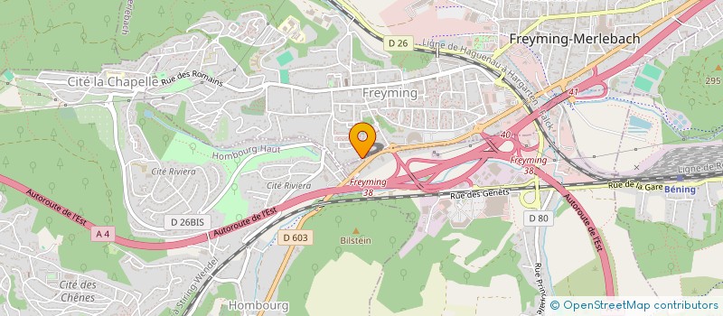 localisation de l'entreprise MADAME JENNY LATTUCA  FREYMING-MERLEBACH