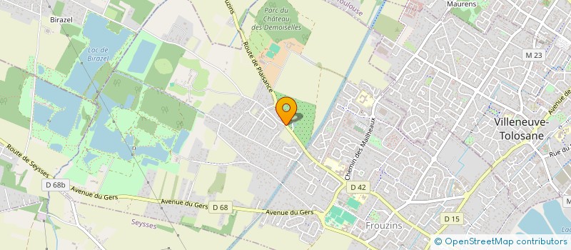 localisation de l'entreprise MADAME JESSE DIALLO  FROUZINS