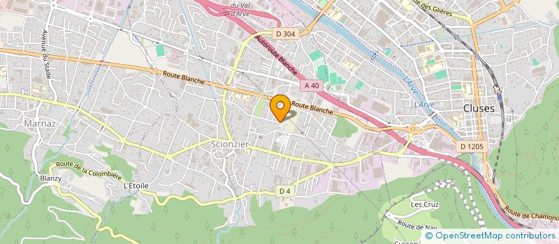 localisation de l'entreprise MADAME JESSICA DA SILVA PACHECO  SCIONZIER