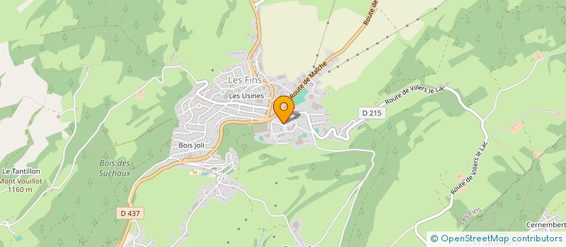 localisation de l'entreprise MADAME JESSICA DOUGOUD  LES FINS