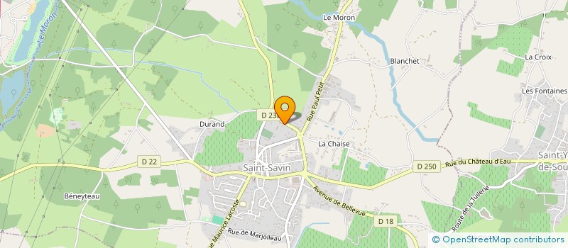 localisation de l'entreprise MADAME JESSICA GOUGEON  SAINT-SAVIN