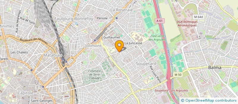 localisation de l'entreprise MADAME JESSICA MAZELLE  TOULOUSE