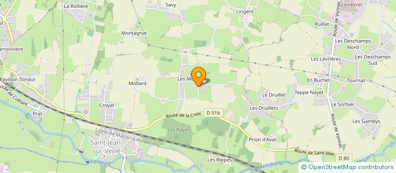 localisation de l'entreprise MADAME JESSICA PIN  SAINT-JEAN-SUR-VEYLE