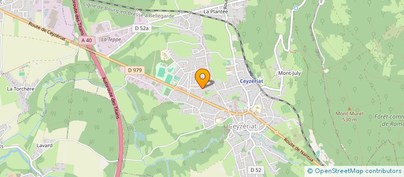 localisation de l'entreprise MADAME JESSIE LEITES à CEYZERIAT