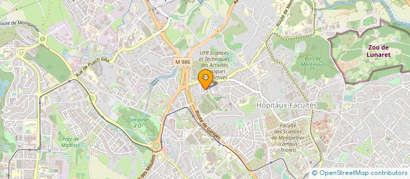 localisation de l'entreprise MADAME JEYD MULLER à MONTPELLIER
