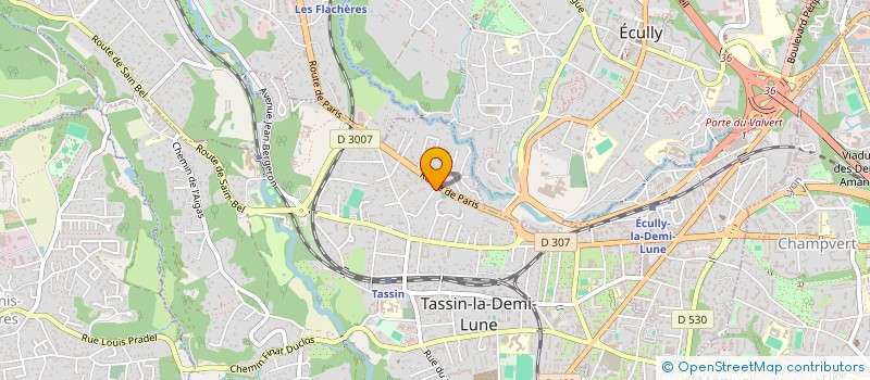 localisation de l'entreprise MADAME JHOAN STARDA  TASSIN-LA-DEMI-LUNE