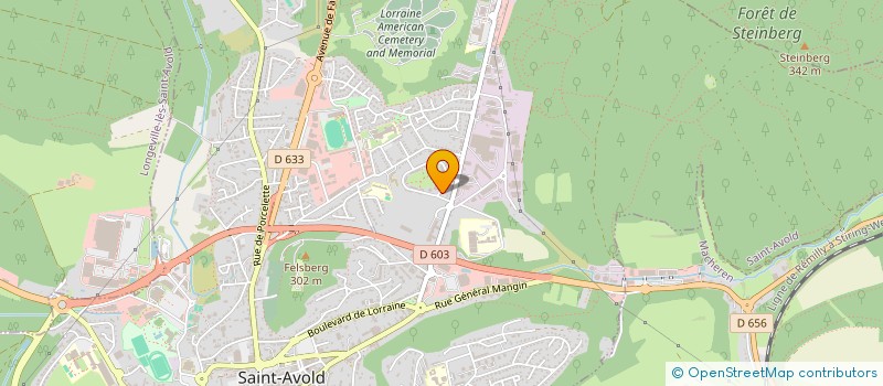 localisation de l'entreprise MADAME JIHANE GROUNE  SAINT-AVOLD